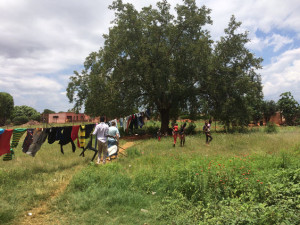 Makweng Bible Study Tree